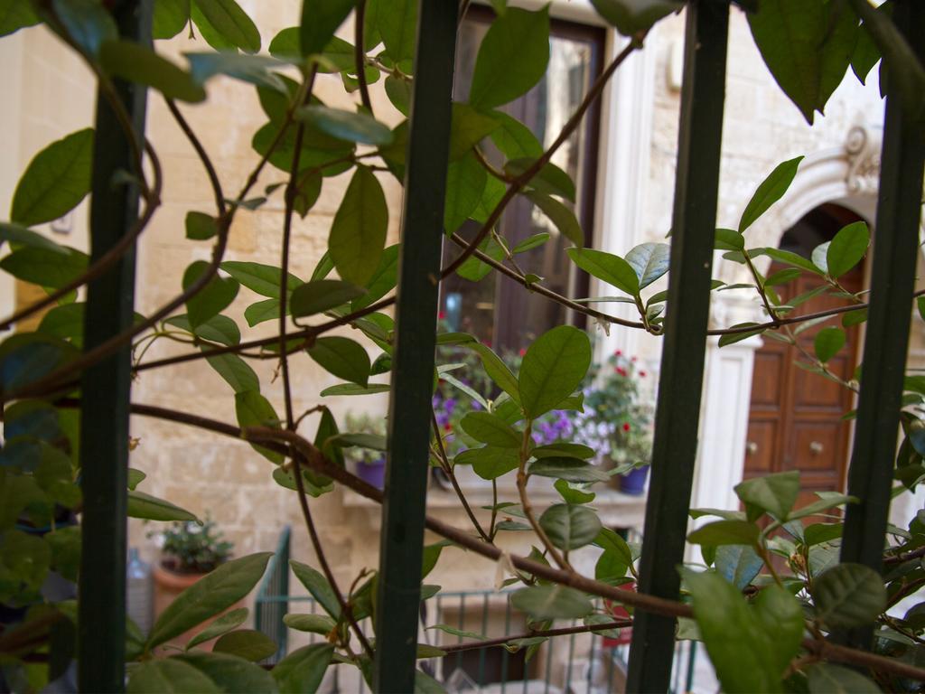 B&B Corte Dell' Idume Lecce Zewnętrze zdjęcie