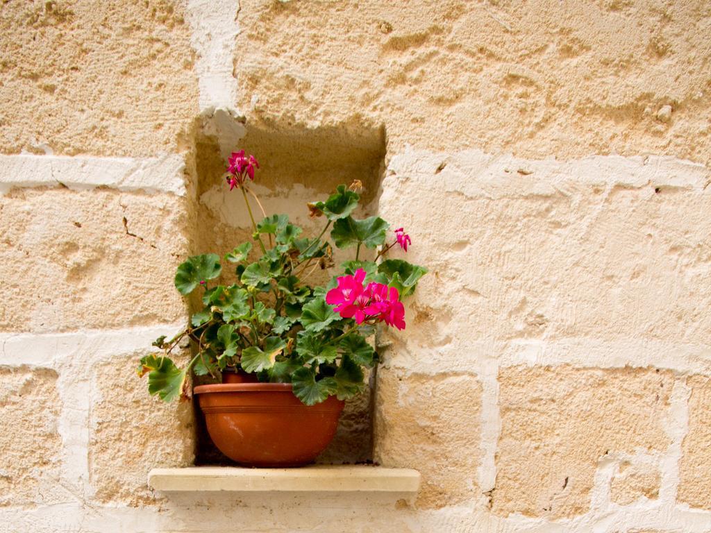 B&B Corte Dell' Idume Lecce Zewnętrze zdjęcie